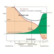 Measurement of Your Resting Metabolic Rate (RMR)